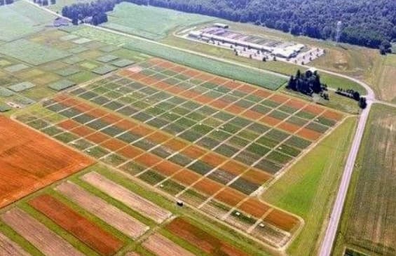 Regional Agricultural Research Institute